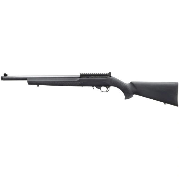 Ruger 10/22 Carbine .22 LR